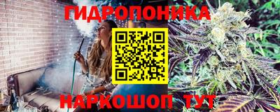 ПСИЛОЦИБИНОВЫЕ ГРИБЫ Можайск